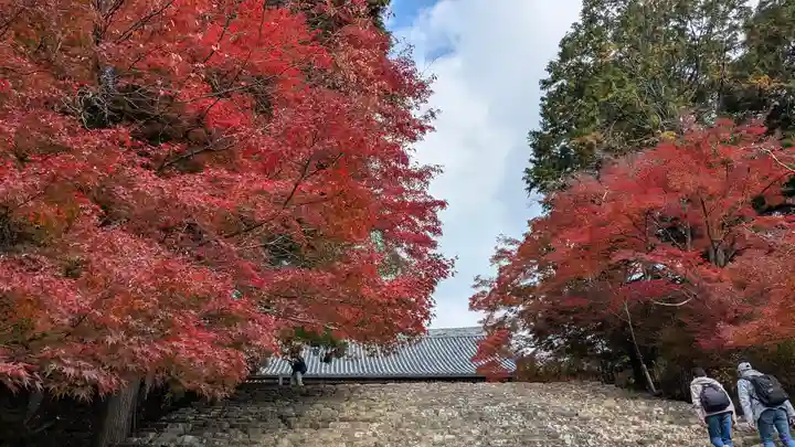 神護寺(京都府)