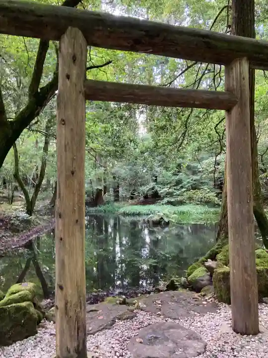 平泉寺白山神社(福井県)