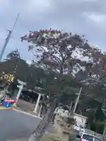 北方八幡宮の周辺