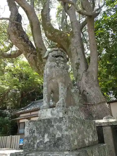 沼島八幡神社の狛犬