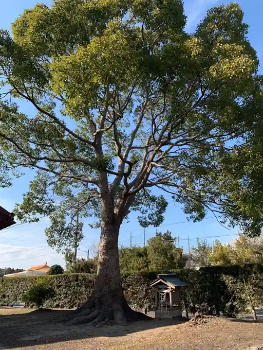 八幡神社(千葉県)