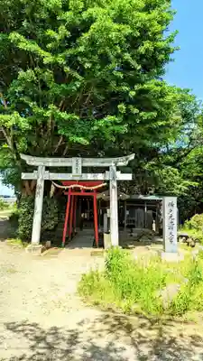 横戸元池辨天宮の鳥居