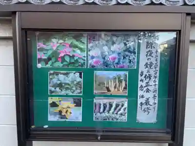 安井念佛寺（念仏寺）(京都府)