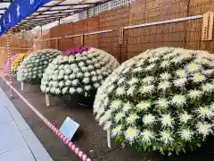 湯島天満宮の庭園