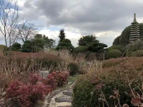 朝田寺の自然