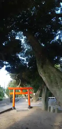 道路衢神の鳥居