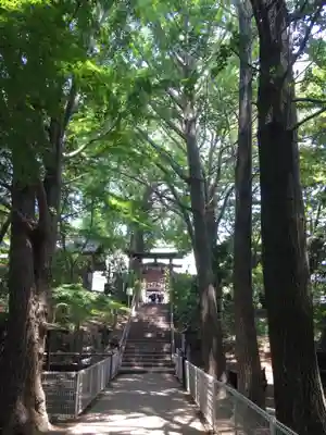 下総国三山　二宮神社のその他建物