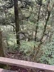 九頭龍神社(東京都)