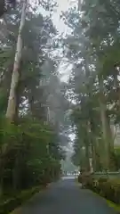 箱根神社の建物その他