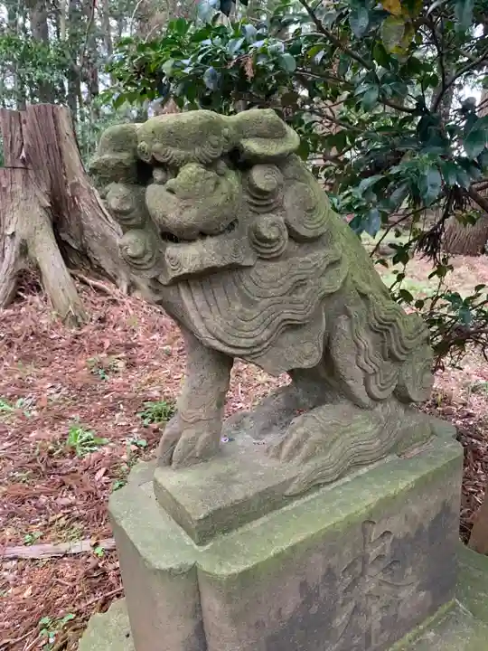 阿夫利神社の狛犬