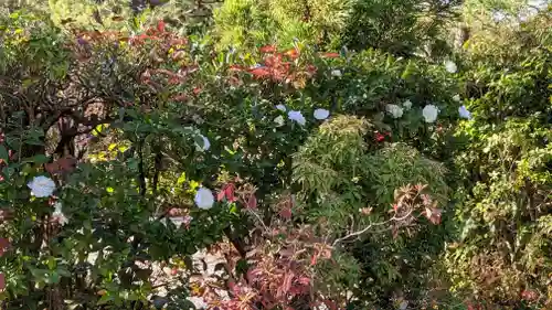 光悦寺(京都府)