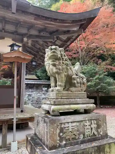 八坂神社・境内社川枯社の狛犬