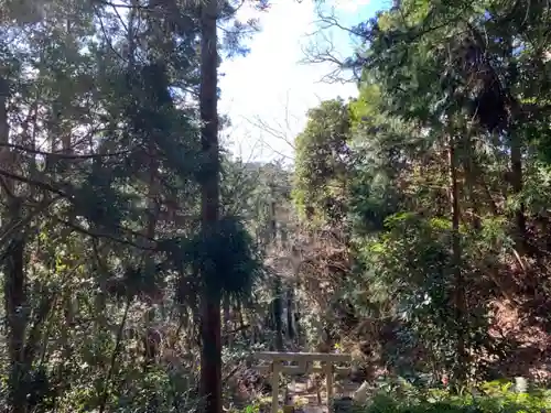 熊野神社の鳥居