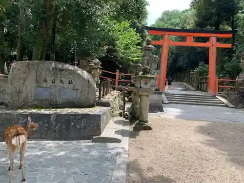 春日大社の鳥居