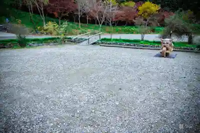 雲林寺(山口県)