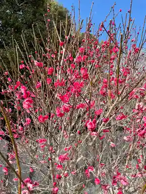 綱敷天満宮(福岡県)