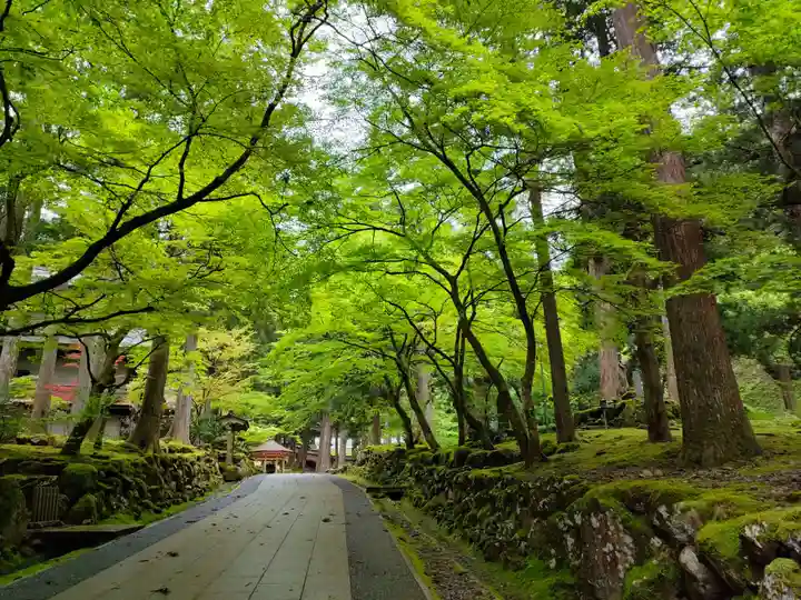 永平寺の自然