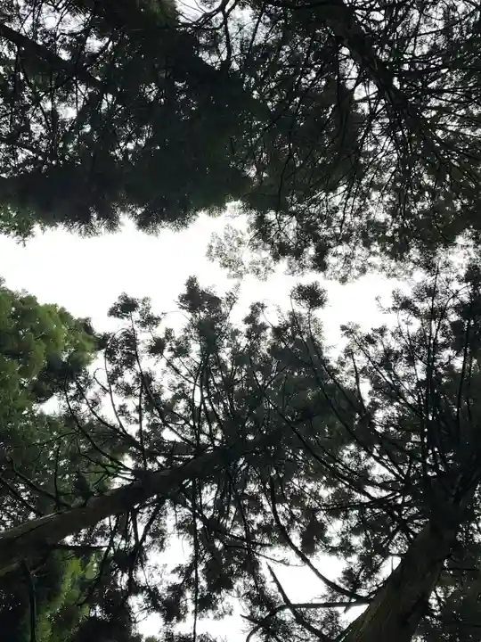 上色見熊野座神社(熊本県)