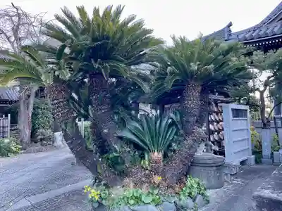 浄蓮寺(神奈川県)