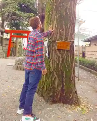 田無神社(東京都)