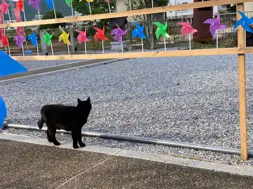 眞中神社(岐阜県)