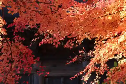 国宝 大法寺の自然
