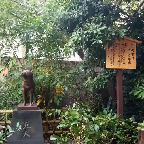 蔵前神社の狛犬
