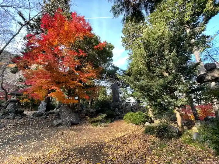 津島神社(岐阜県)