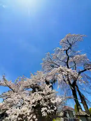 妙徳寺(福島県)