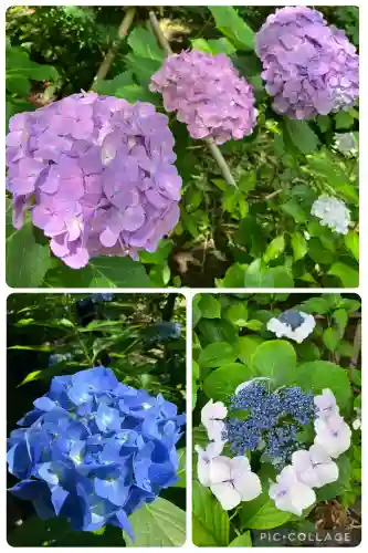 本土寺(千葉県)