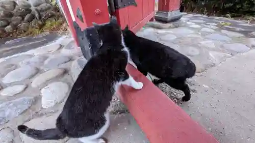 妙雲寺(岐阜県)