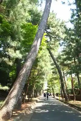 豪徳寺(東京都)