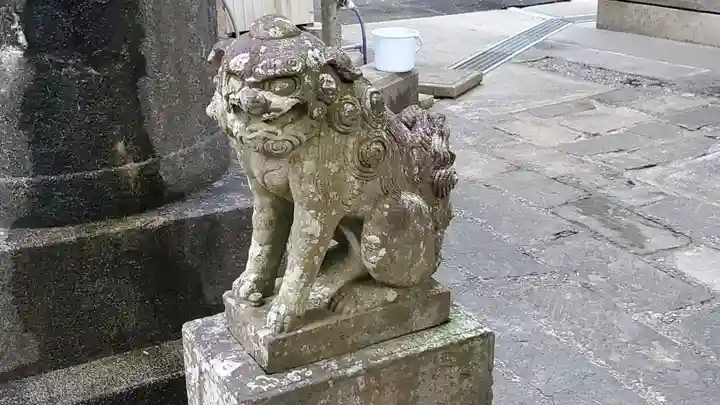 田間神社の狛犬