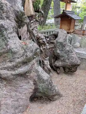 住吉大社(大阪府)