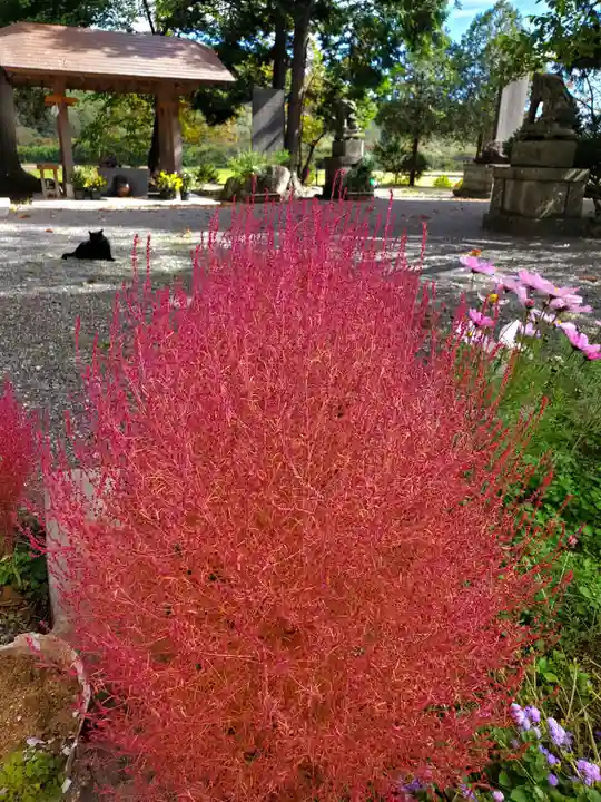 高司神社〜むすびの神の鎮まる社〜(福島県)
