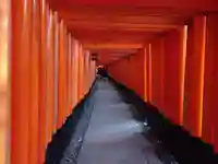 伏見稲荷大社の鳥居