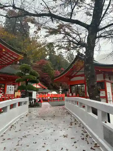 金櫻神社(山梨県)