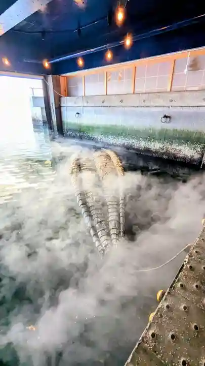 潮見 龍宮社の芸術