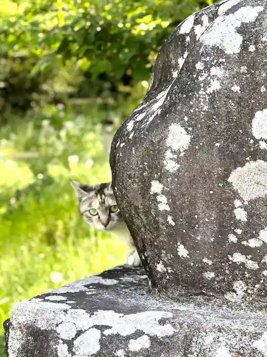 上伊那招魂社(長野県)