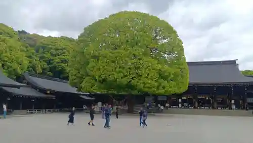 明治神宮(東京都)