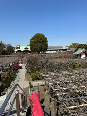 亀戸天神社(東京都)