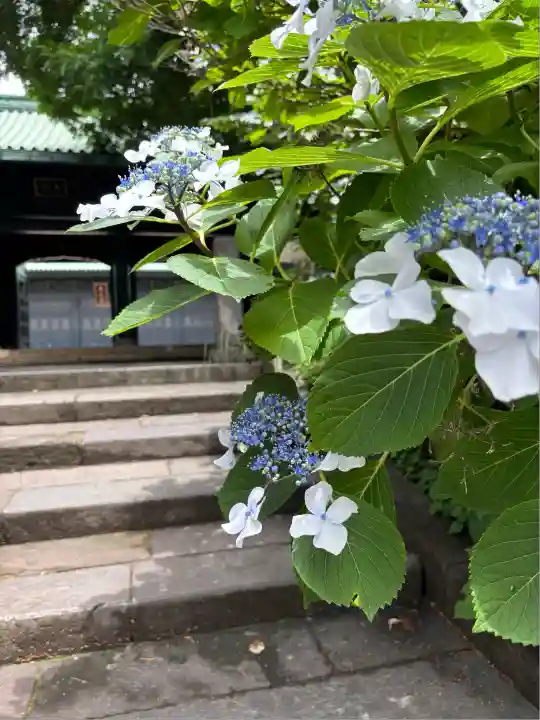 湯島聖堂(東京都)