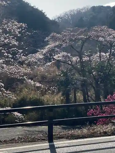 瀧不動尊の自然