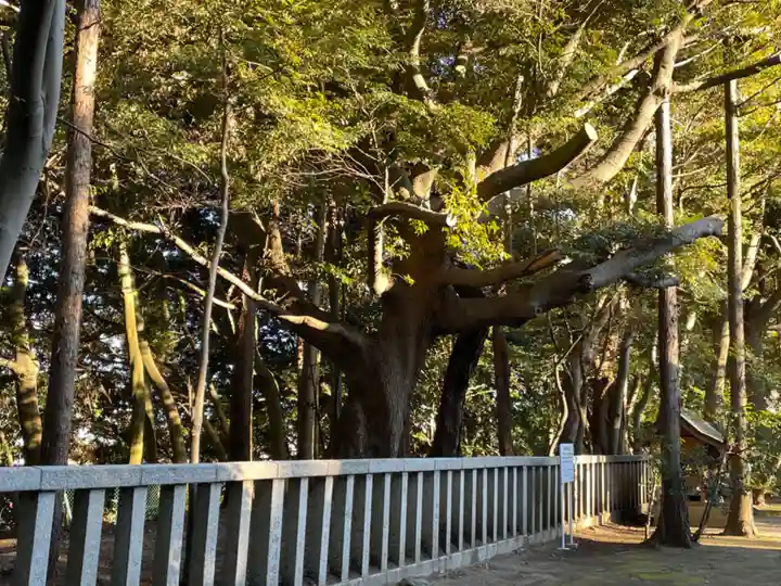 常陸第三宮 吉田神社(茨城県)