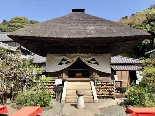 佛日庵の本殿・本堂