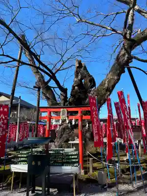 秩父今宮神社(埼玉県)