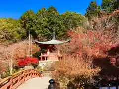 醍醐寺(京都府)