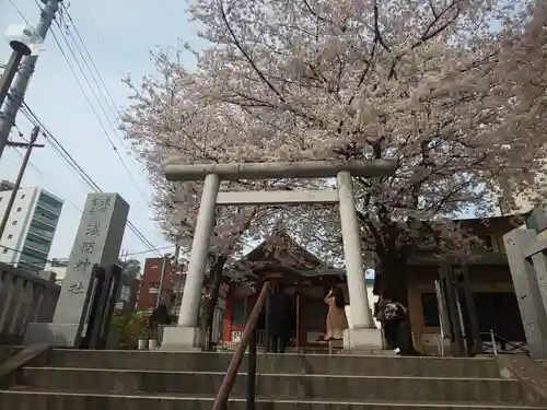 浅草富士浅間神社の鳥居