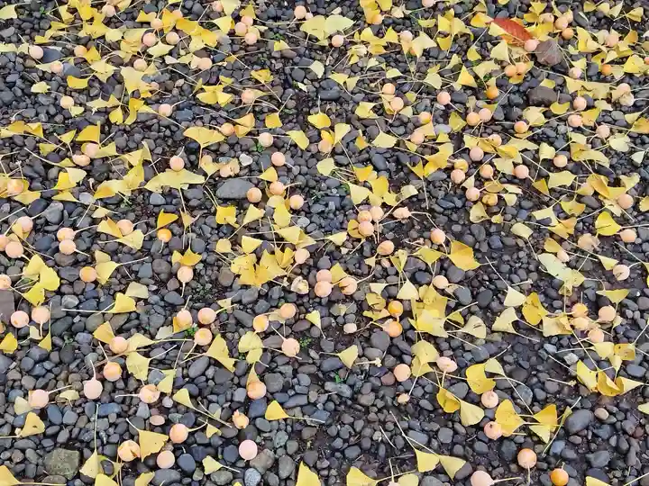 上川神社の自然