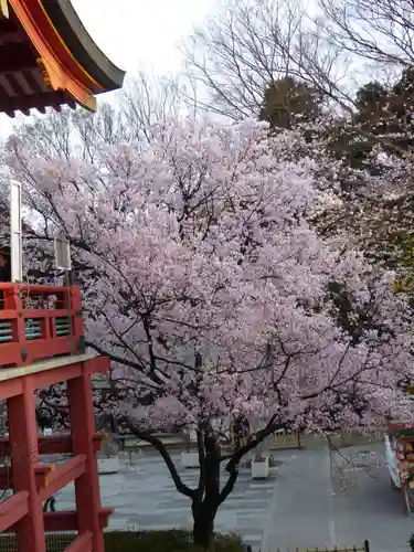 瀧泉寺（目黒不動尊）(東京都)